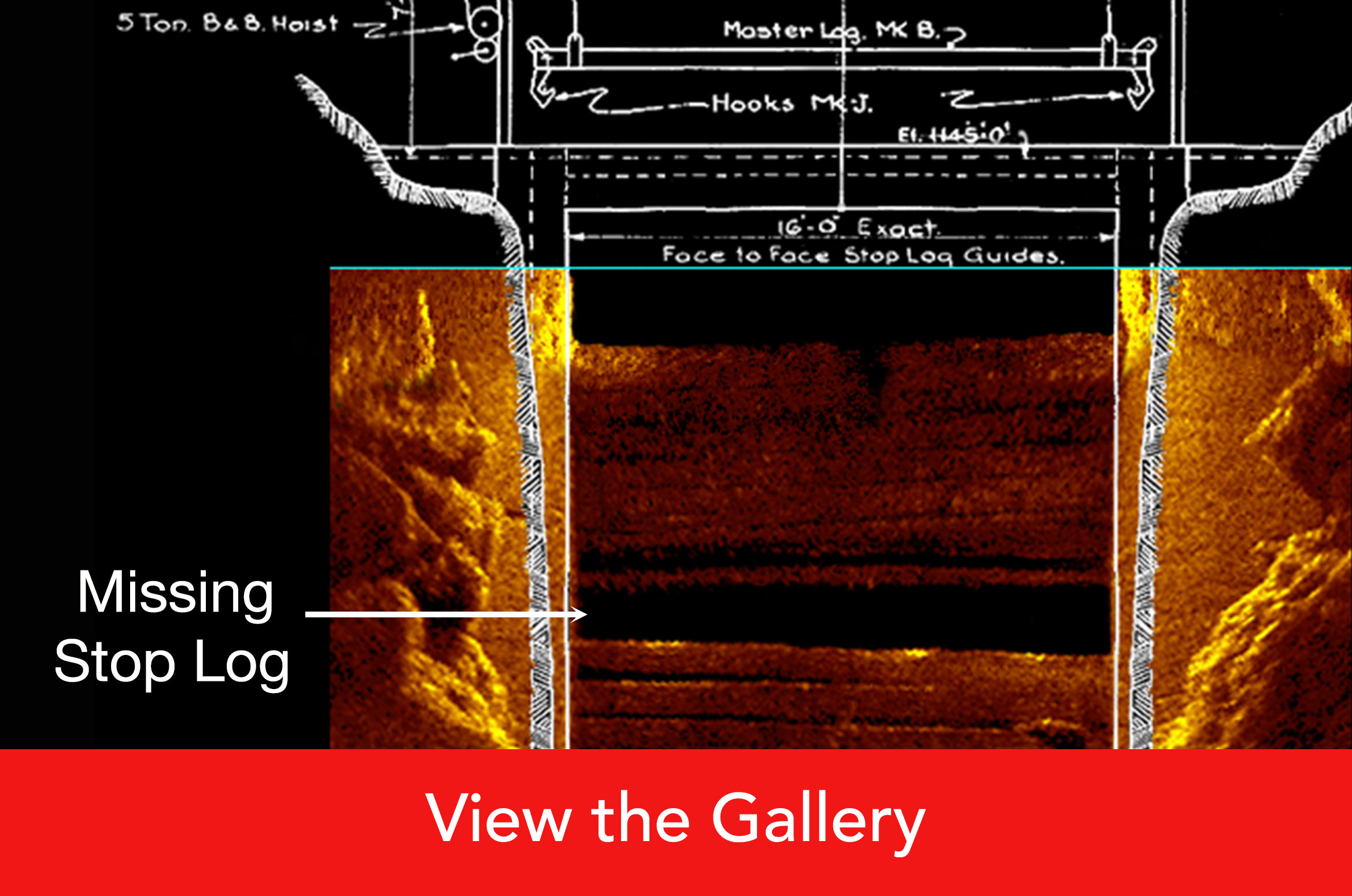 View the 2D Imaging Gallery